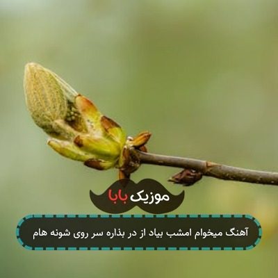 آهنگ میخوام امشب بیاد از در بذاره سر روی شونه هام آهنگ میخوام امشب بیاد از در بذاره سر روی شونه هام