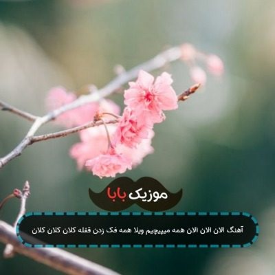 آهنگ الان الان الان همه میپیچیم ویلا همه فک زدن قفله کلان کلان کلان آهنگ الان الان الان همه میپیچیم ویلا همه فک زدن قفله کلان کلان کلان