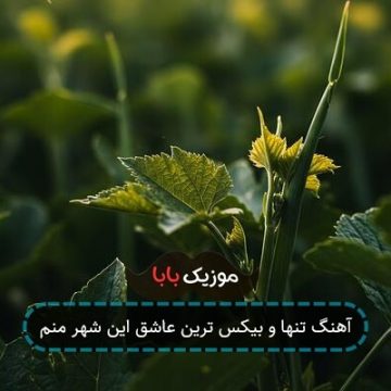آهنگ تنها و بیکس ترین عاشق این شهر منم آهنگ تنها و بیکس ترین عاشق این شهر منم