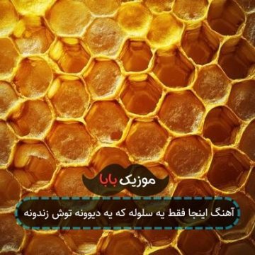 آهنگ اینجا فقط یه سلوله که یه دیوونه توش زندونه
