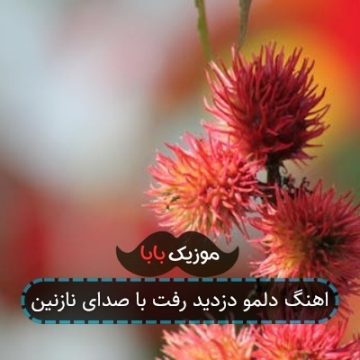 اهنگ دلمو دزدید رفت با صدای نازنین اهنگ دلمو دزدید رفت با صدای نازنین