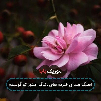 اهنگ صدای ضربه های زندگی هنوز تو گوشمه
