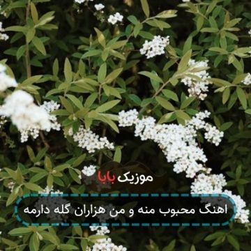 اهنگ محبوب منه و من هزاران گله دارمه اهنگ محبوب منه و من هزاران گله دارمه