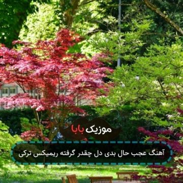 آهنگ عجب حال بدی دل چقدر گرفته ریمیکس ترکی