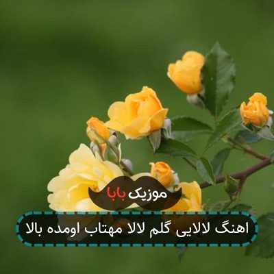 اهنگ لالایی گلم لالا مهتاب اومده بالا