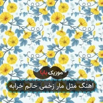 اهنگ مثل مار زخمی حالم خرابه