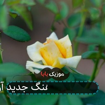 آهنگ جدید آرمین 2afm هوش مصنوعی