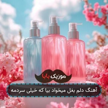 آهنگ دلم بغل میخواد بیا که خیلی سردمه
