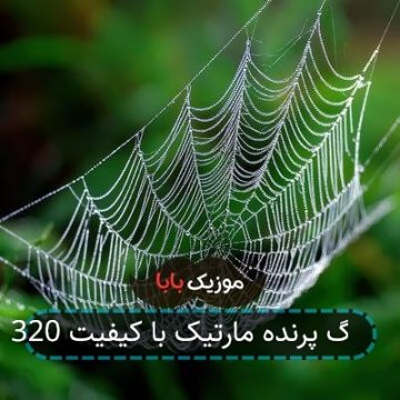آهنگ پرنده مارتیک با کیفیت 320 آهنگ پرنده مارتیک با کیفیت 320