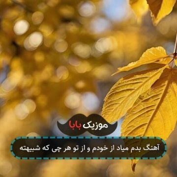 اهنگ پریدم از قفس افتادم از نفس