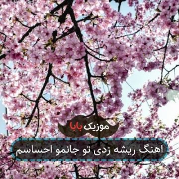 اهنگ ریشه زدی تو جانمو احساسم