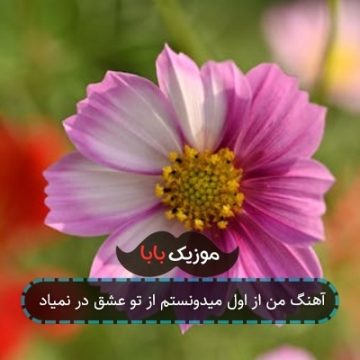 آهنگ من از اول میدونستم از تو عشق در نمیاد