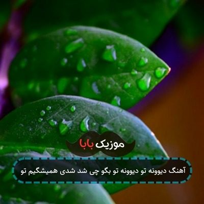 آهنگ دیوونه تو دیوونه تو بگو چی شد شدی همیشگیم تو