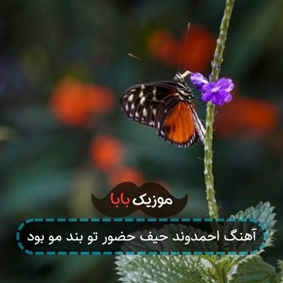 اهنگ حیف حضور تو بند مو بود احمدوند اهنگ حیف حضور تو بند مو بود احمدوند