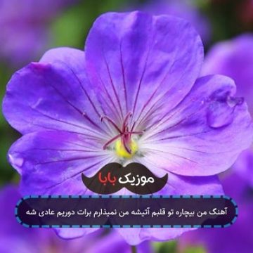 آهنگ من بیچاره تو قلبم آتیشه من نمیذارم برات دوریم عادی شه
