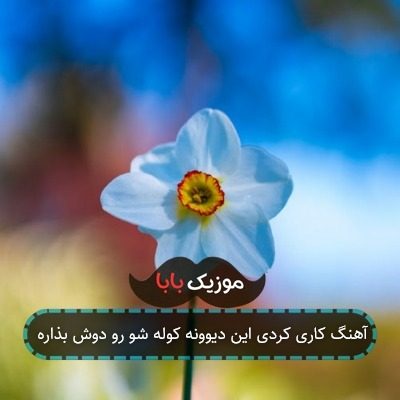 آهنگ کاری کردی این دیوونه کوله شو رو دوش بذاره