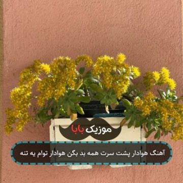 آهنگ هوادار پشت سرت همه بد بگن هوادار توام یه تنه