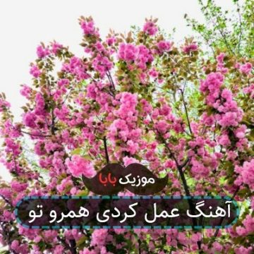 آهنگ عمل کردی همرو تو