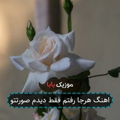 اهنگ هرجا رفتم فقط دیدم صورتتو