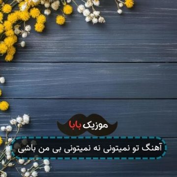 آهنگ تو نمیتونی نه نمیتونی بی من باشی