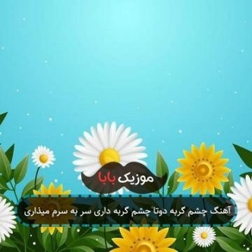 آهنگ چشم گربه دوتا چشم گربه داری سر به سرم میذاری آهنگ چشم گربه دوتا چشم گربه داری سر به سرم میذاری