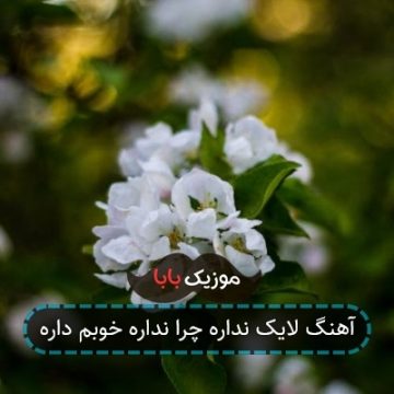 آهنگ لایک نداره چرا نداره خوبم داره آهنگ لایک نداره چرا نداره خوبم داره
