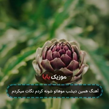 آهنگ همین دیشب موهاتو شونه کردم نگات میکردم