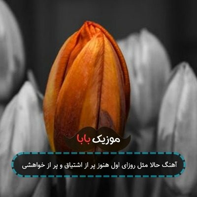 آهنگ حالا مثل روزای اول هنوز پر از اشتیاق و پر از خواهشی