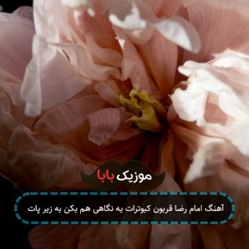 آهنگ امام رضا قربون کبوترات یه نگاهی هم بکن به زیر پات