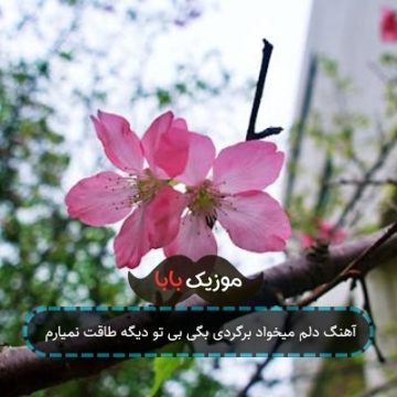 آهنگ دلم میخواد برگردی بگی بی تو دیگه طاقت نمیارم آهنگ دلم میخواد برگردی بگی بی تو دیگه طاقت نمیارم