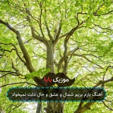 آهنگ بازم بریم شمال و عشق و حال دلت نمیخواد