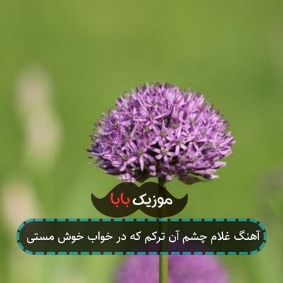 آهنگ غلام چشم آن ترکم که در خواب خوش مستی