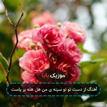 آهنگ از دست تو تو سینه ی من هل هله بر پاست آهنگ از دست تو تو سینه ی من هل هله بر پاست