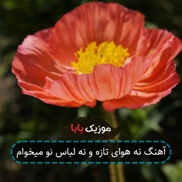 آهنگ نه هوای تازه و نه لباس نو میخوام آهنگ نه هوای تازه و نه لباس نو میخوام