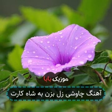 آهنگ چاوشی زل بزن به شاه کارت