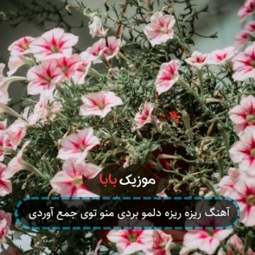 آهنگ ریزه ریزه دلمو بردی منو توی جمع آوردی