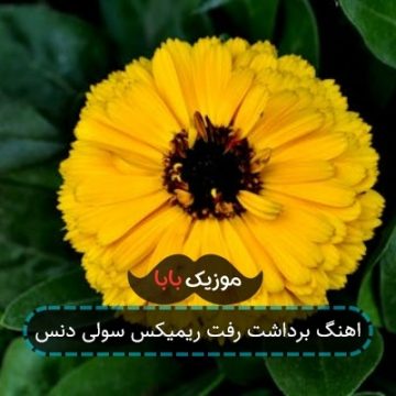 اهنگ برداشت رفت ریمیکس سولی دنس