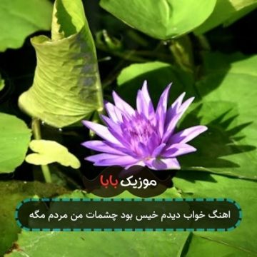 اهنگ خواب دیدم خیس بود چشمات من مردم مگه