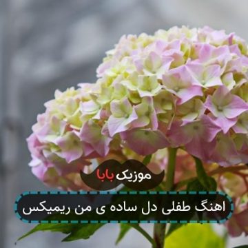 اهنگ طفلی دل ساده ی من ریمیکس