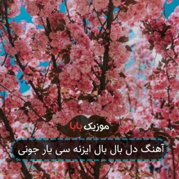 اهنگ سی یار جونی گوشواره بخرم