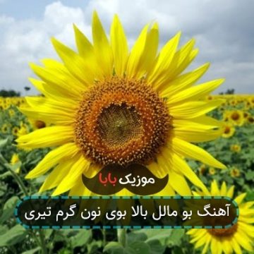 آهنگ بو مالل بالا بوی نون گرم تیری