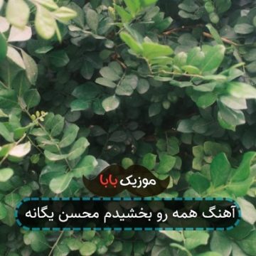 آهنگ همه رو بخشیدم محسن یگانه