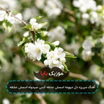 آهنگ میریزه دل دیوونه اسمش عشقه کسی نمیدونه اسمش عشقه
