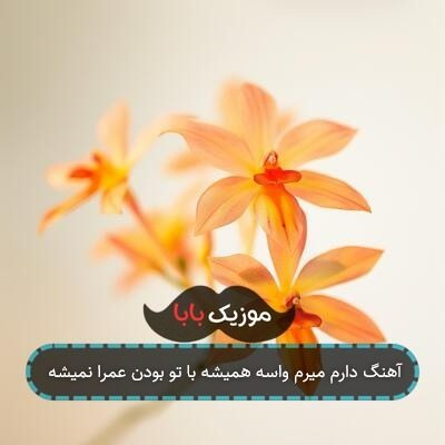 آهنگ دارم میرم واسه همیشه با تو بودن عمرا نمیشه