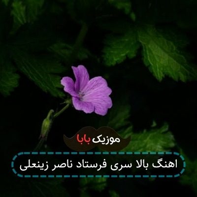 اهنگ بالا سری فرستاد ناصر زینعلی اهنگ بالا سری فرستاد ناصر زینعلی