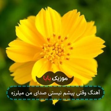 آهنگ وقتی پیشم نیستی صدای من میلرزه