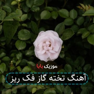 آهنگ تخته گاز فک ریز آهنگ تخته گاز فک ریز