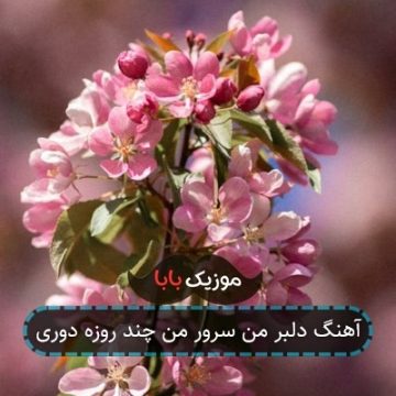 آهنگ دلبر من سرور من چند روزه دوری آهنگ دلبر من سرور من چند روزه دوری