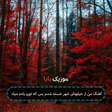آهنگ من از خیابونای شهر خسته شدم بس که تورو یادم میاد