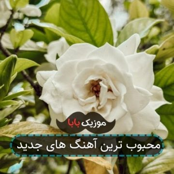محبوب ترین آهنگ های جدید